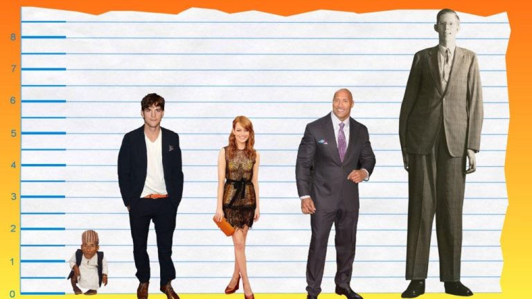 Ashton Kutcher’s Height, Weight And Body Measurements