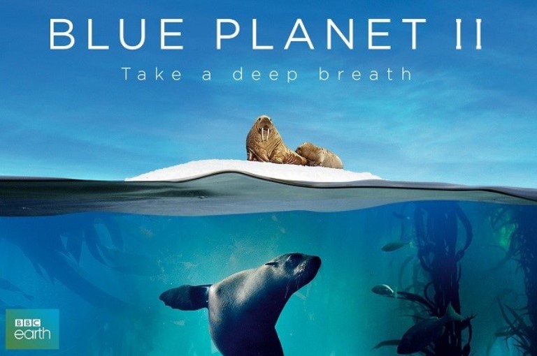 Is Blue Planet 2 Available On Netflix? If Not, When Will It Be Available