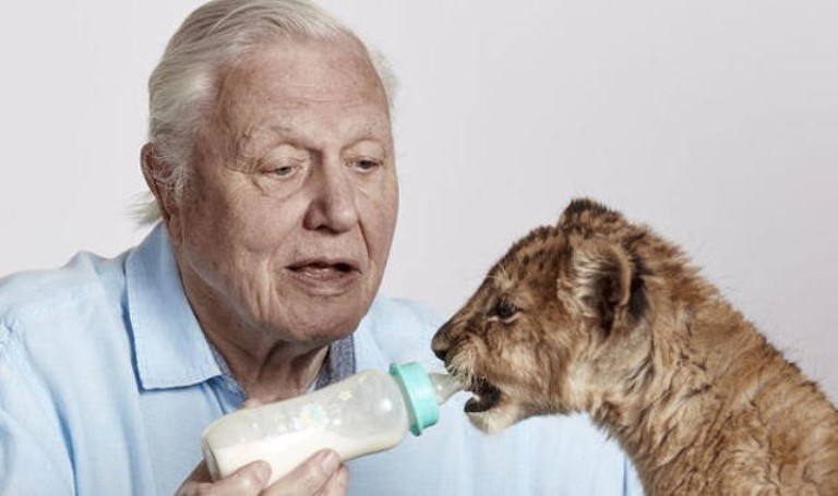 David Attenborough – Bio, How Old is He, Who is The Wife, Kids and Net Worth?
