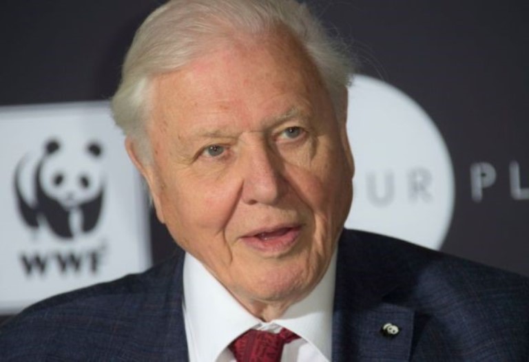 David Attenborough – Bio, How Old is He, Who is The Wife, Kids and Net Worth?