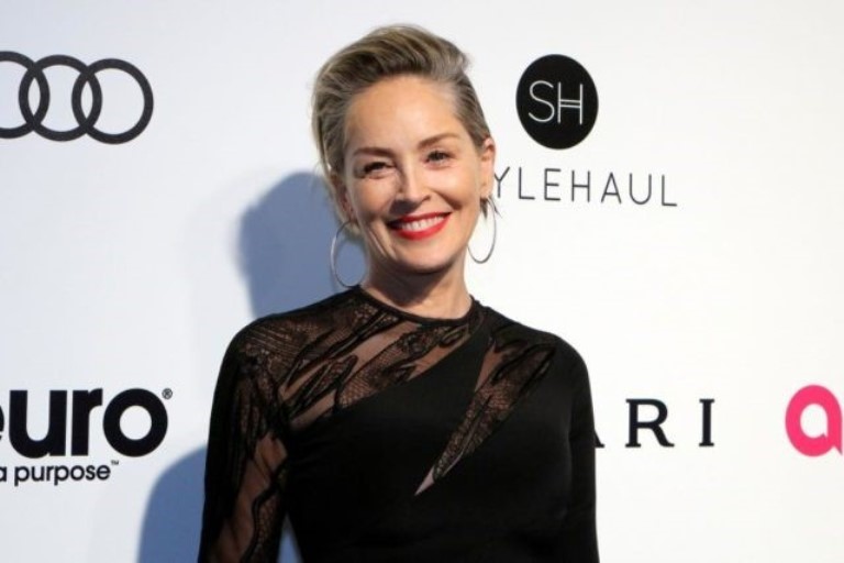 Who are Sharon Stone’s Husbands and Children, Is She Related To Emma Stone?