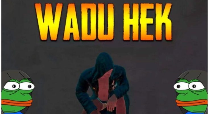 Who Is Wadu Hek? Here Are Facts About The YouTube Star
