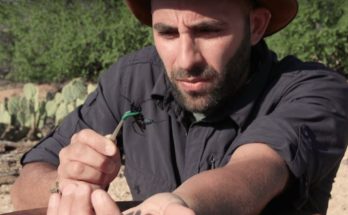 Coyote Peterson’s Wiki, Real Name, Net Worth, Wife, Married, Family