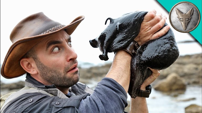 Coyote Peterson’s Wiki, Real Name, Net Worth, Wife, Married, Family