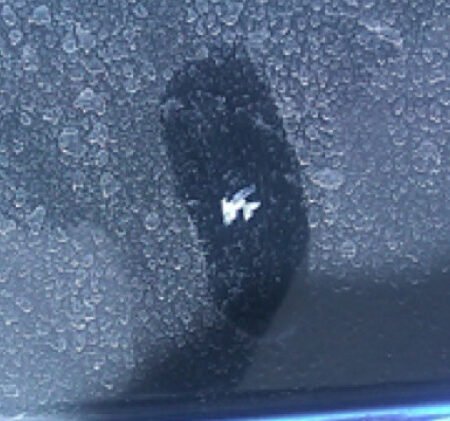 Cara Menghilangkan Jamur Kaca Mobil Secara Efektif Biar Kembali Kinclong