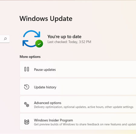 Cara Update Windows 11 ke Versi Terbaru, Biar Laptop Makin Ngebut dan Aman