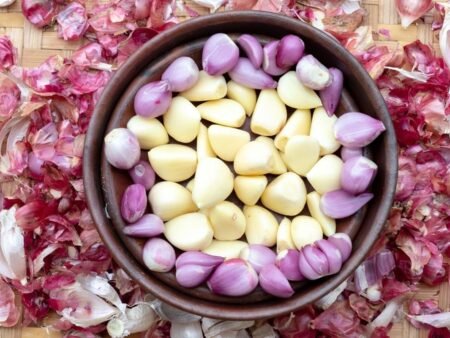 Bisa Segar Lagi! Begini Cara Mengatasi Tanaman Layu dengan Ramuan Bawang