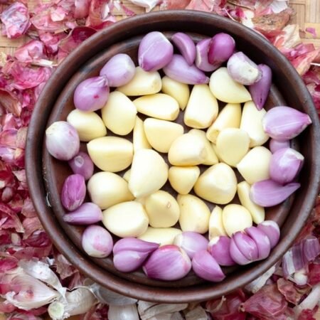 Bisa Segar Lagi! Begini Cara Mengatasi Tanaman Layu dengan Ramuan Bawang