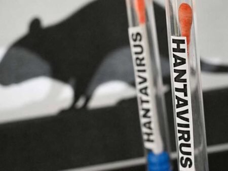 Hantavirus Mulai Jadi Sorotan, Ini Gejala dan Cara Mengatasinya