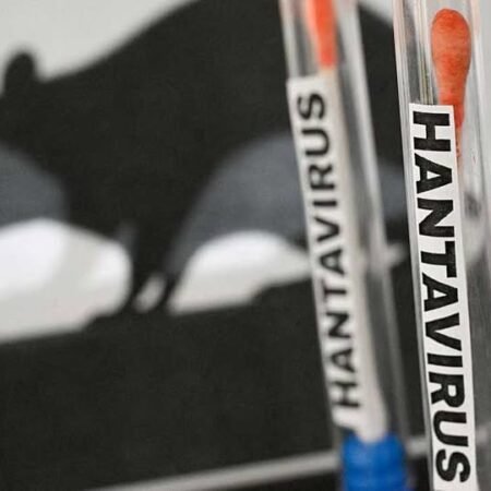 Hantavirus Mulai Jadi Sorotan, Ini Gejala dan Cara Mengatasinya