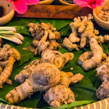Minuman Herbal untuk Ayam, Resep Sederhana agar Ayam Tetap Sehat